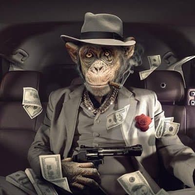 Money Monkey